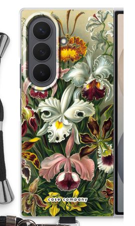 Haeckel Orchidae