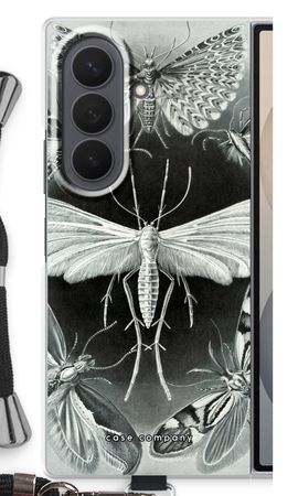 Haeckel Tineida