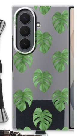 Monstera leaves
