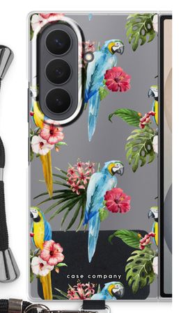 Colourful parrots
