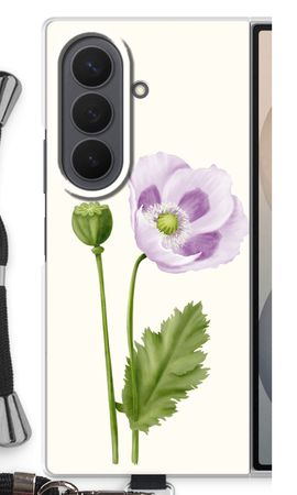Purple poppy