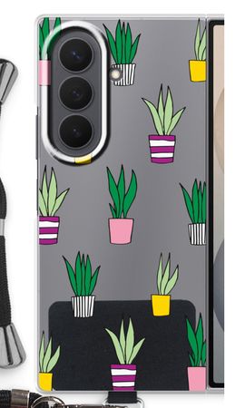 Sanseveria