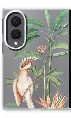 Tropical Parrot