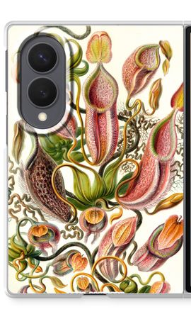 Haeckel Nepenthaceae