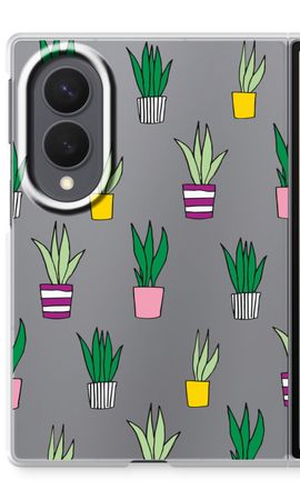 Sanseveria