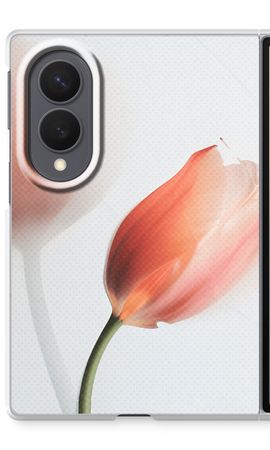 Tulip