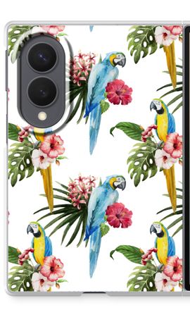Colourful parrots