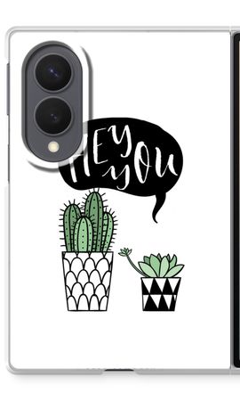Hey you cactus