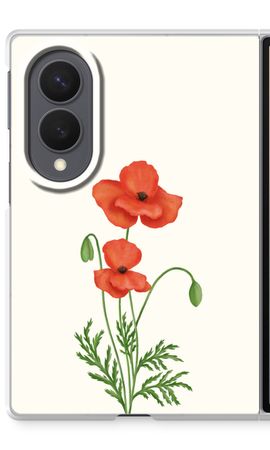 Red poppy