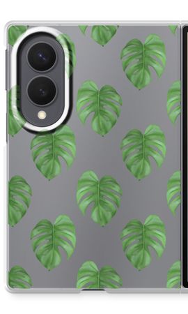 Monstera leaves