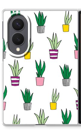 Sanseveria