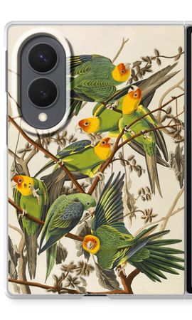 Carolina Parrot