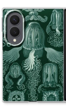 Haeckel Cubomedusae