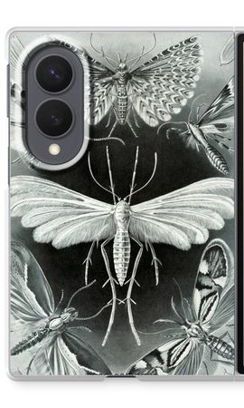Haeckel Tineida