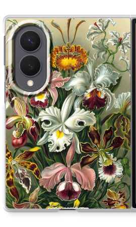Haeckel Orchidae