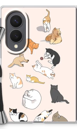 Cats