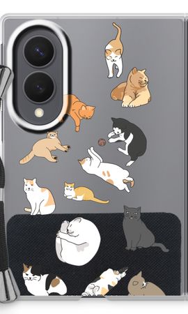 Cats