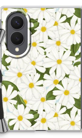 Summer Daisies