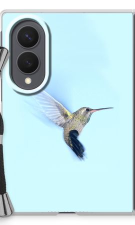 Hummingbird