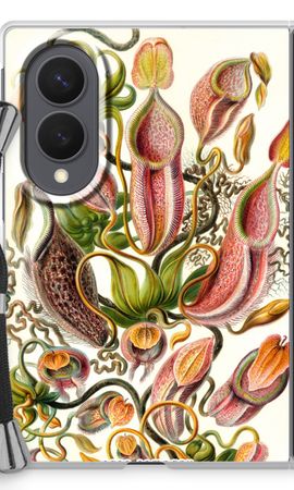 Haeckel Nepenthaceae