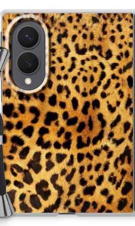 Cheetah