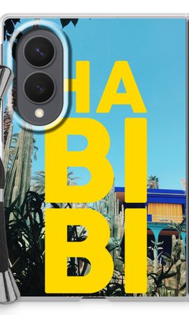 Habibi Majorelle 