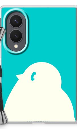 BIG Robin 2