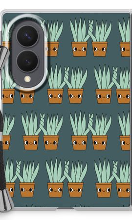 Sansevieria