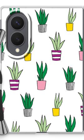 Sanseveria