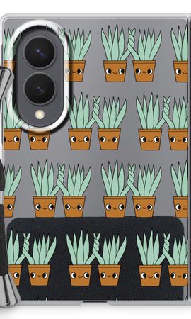 Sansevieria