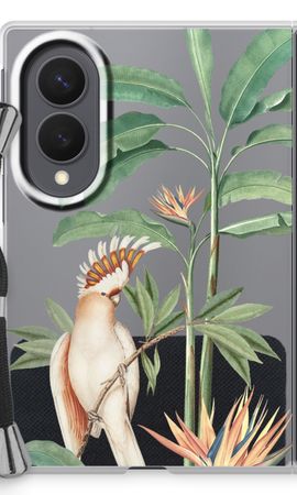 Tropical Parrot