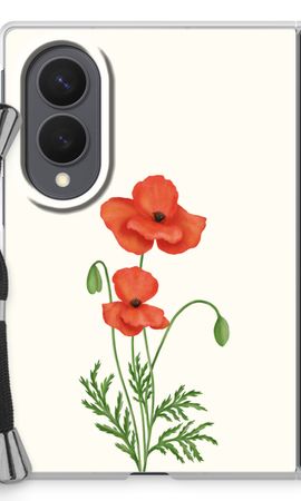 Red poppy