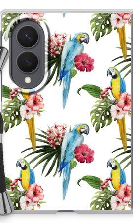 Colourful parrots