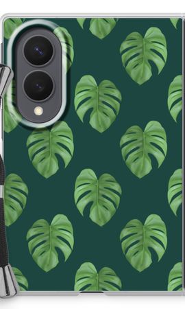 Monstera leaves