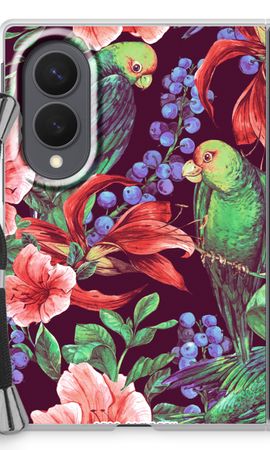 Parrots