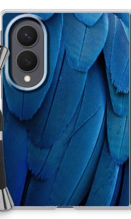 Pauw