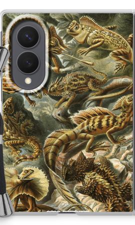 Haeckel Lacertilia