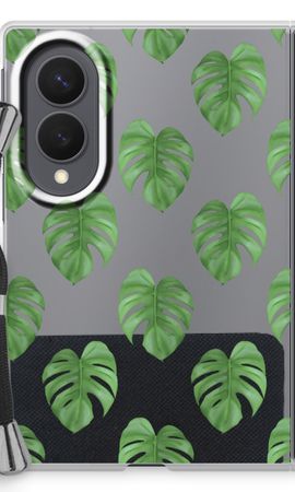 Monstera leaves