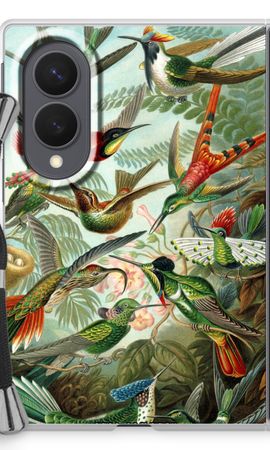 Haeckel Trochilidae