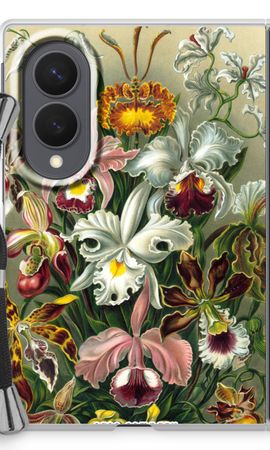 Haeckel Orchidae