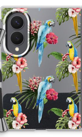 Colourful parrots