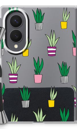 Sanseveria
