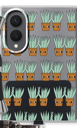 Sansevieria