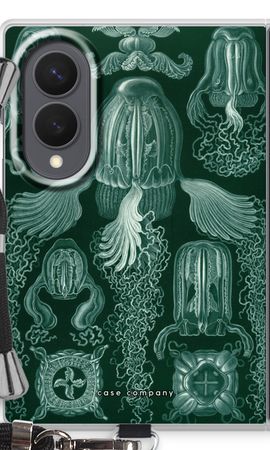 Haeckel Cubomedusae
