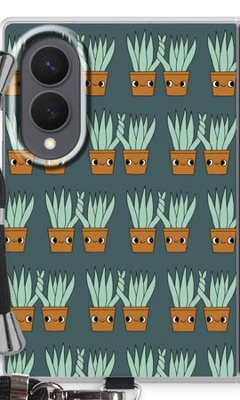 Sansevieria