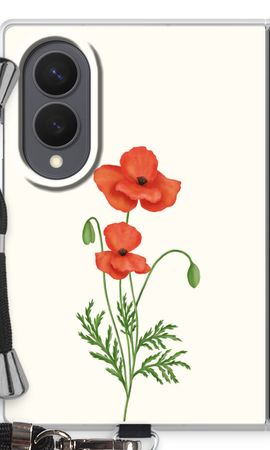 Red poppy