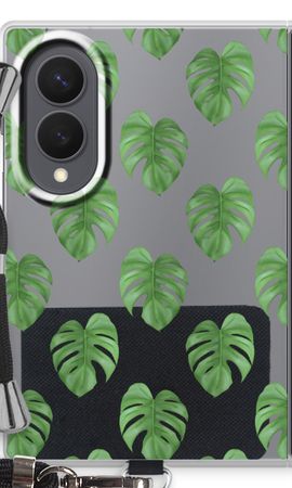 Monstera leaves