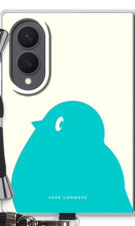 BIG Robin 1