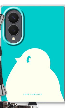 BIG Robin 2