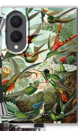 Haeckel Trochilidae